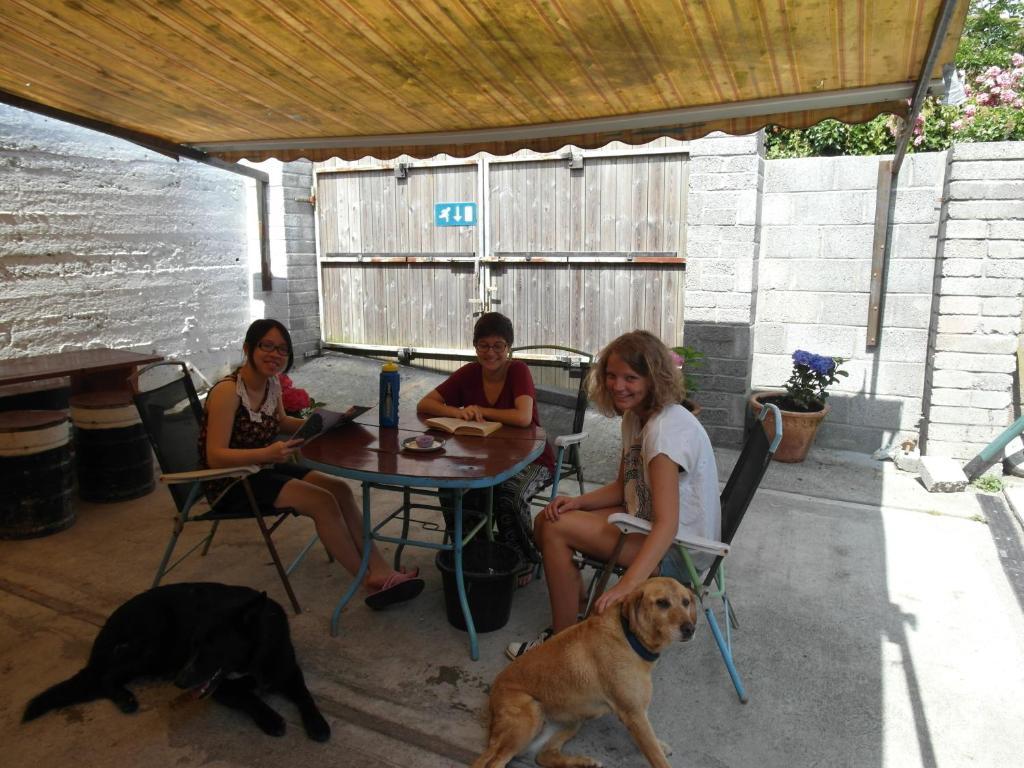 Macgabhainns Backpackers Hostel 킬케니 외부 사진